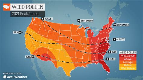 allergy alerts weather|what allergies are high right now.